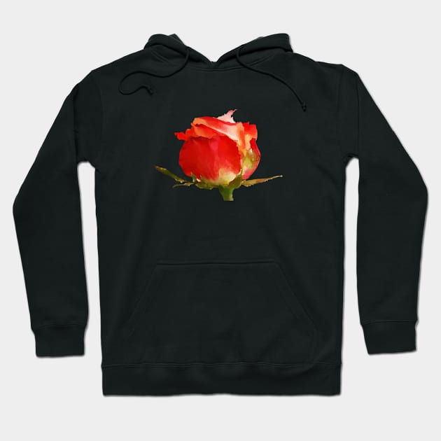 Romantic Love - Red Rose Flower Hoodie by Star58